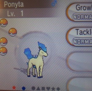 col_pokemon_shinyponyta
